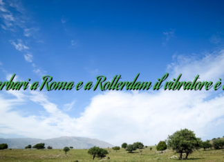 I barbari a Roma e a Rotterdam il vibratore è arte I barbari a Roma e a Rotterdam il vibratore è arte