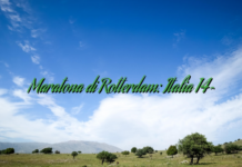 Maratona di Rotterdam: Italia 14^ Maratona di Rotterdam: Italia 14^