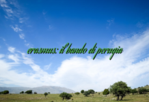 erasmus: il bando di perugia erasmus: il bando di perugia