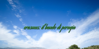 erasmus: il bando di perugia erasmus: il bando di perugia