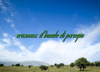 erasmus: il bando di perugia erasmus: il bando di perugia