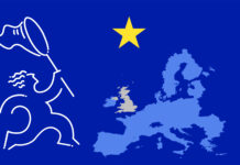 L’Unione Europea può imparare dall’esperienza?