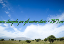 euro stangata per gli universitari: + 2973 euro euro stangata per gli universitari: + 2973 euro