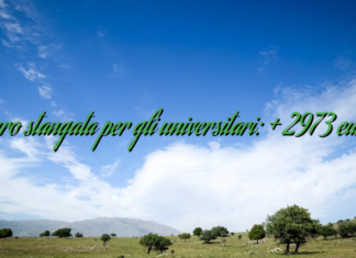 euro stangata per gli universitari: + 2973 euro euro stangata per gli universitari: + 2973 euro