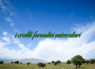 i crediti formativi universitari i crediti formativi universitari