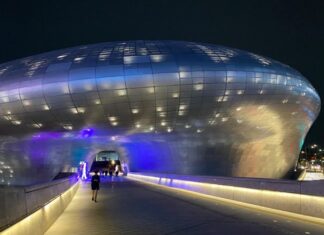 Alla scoperta della notte di Seul: tra Soju e Motel cibernetici dove tutto è possibile.