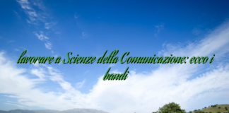 lavorare a Scienze della Comunicazione: ecco i bandi lavorare a Scienze della Comunicazione: ecco i bandi