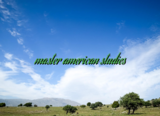 master american studies master american studies