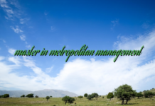 master in metropolitan management master in metropolitan management