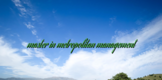 master in metropolitan management master in metropolitan management