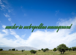 master in metropolitan management master in metropolitan management