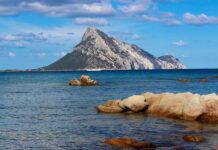 Dieci anni di prigione per tentato omicidio al trapper romano Elia17Baby Olbia