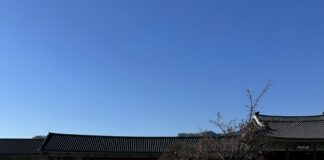 Opposizione Trionfa in Corea del Sud: Una Svolta per l’Assemblea Nazionale e Riflessi sull’Agenda di Yoon