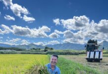 Girolamo Panzetta: l’italiano più famoso in Giappone vende il riso Bio ai Giapponesi