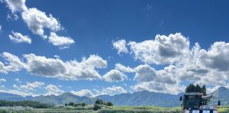 Girolamo Panzetta: l’italiano più famoso in Giappone vende il riso Bio ai Giapponesi