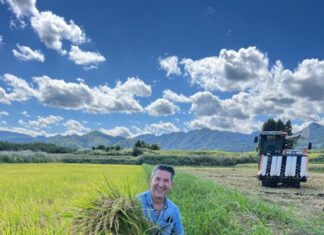Girolamo Panzetta: l’italiano più famoso in Giappone vende il riso Bio ai Giapponesi