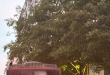 Un Autobus Atac rotto e i lavori sul Ponte bloccano viale Marconi: Inferno nel quadrante sud di Roma Bus Blocca Viale Marconi