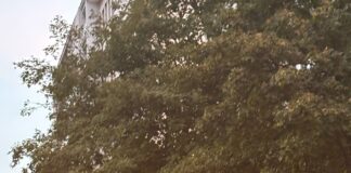 Un Autobus Atac rotto e i lavori sul Ponte bloccano viale Marconi: Inferno nel quadrante sud di Roma Bus Blocca Viale Marconi