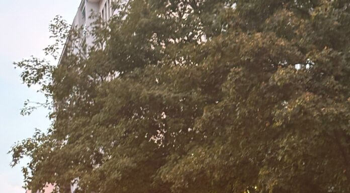 Un Autobus Atac rotto e i lavori sul Ponte bloccano viale Marconi: Inferno nel quadrante sud di Roma Bus Blocca Viale Marconi