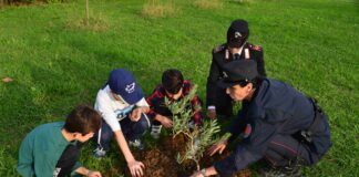 Un Albero per il Futuro: Progetto di Riforestazione e Educazione dei Carabinieri