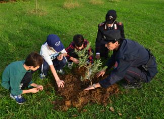 Un Albero per il Futuro: Progetto di Riforestazione e Educazione dei Carabinieri