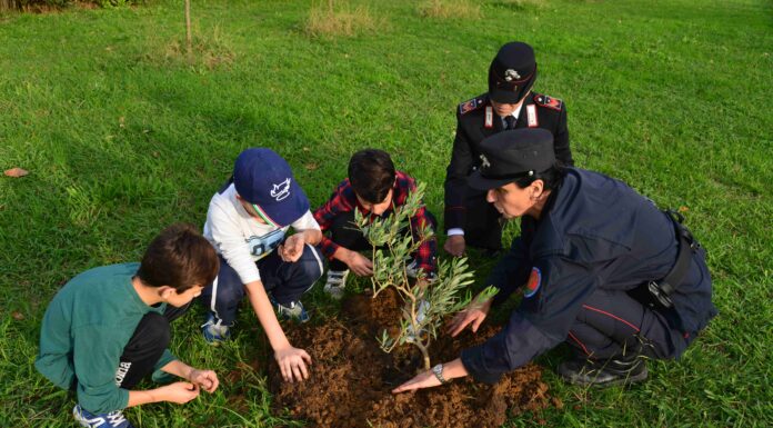 Un Albero per il Futuro: Progetto di Riforestazione e Educazione dei Carabinieri
