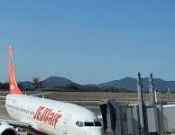 Aereo Jeju Air in fiamme in Corea del Sud dopo atterraggio di emergenza oltre 90 morti confermati