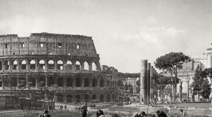Orti e resistenza. Pane, fame e dignità nella Roma in guerra