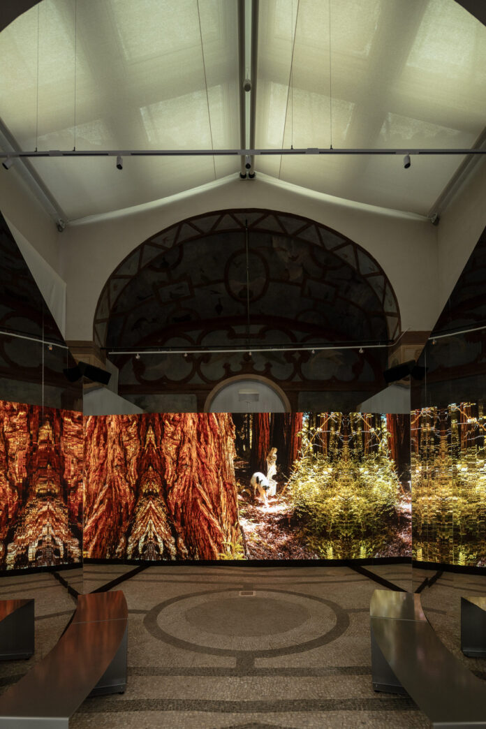 Isaac_Julien_Metamorphosis_Galleria_Borghese